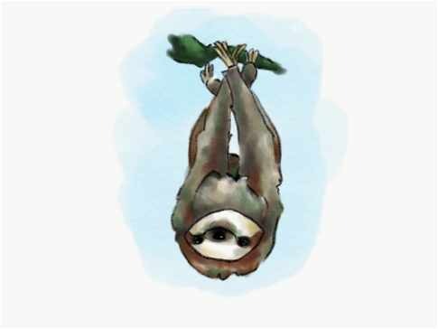 Sloth