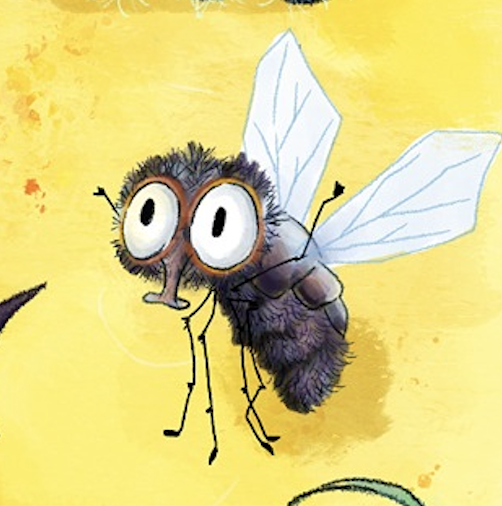 Fly