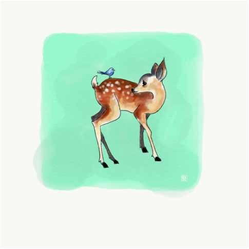 Welcome Baby Deer
