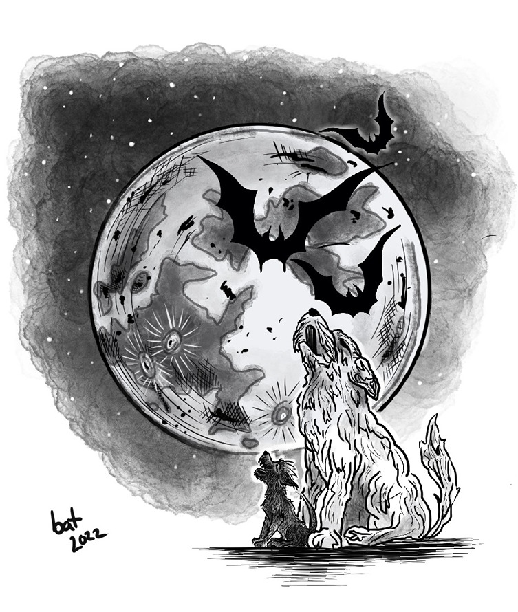 Bat