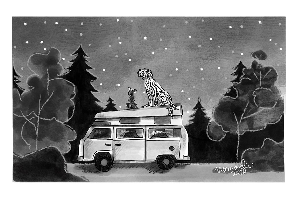 Nomadic