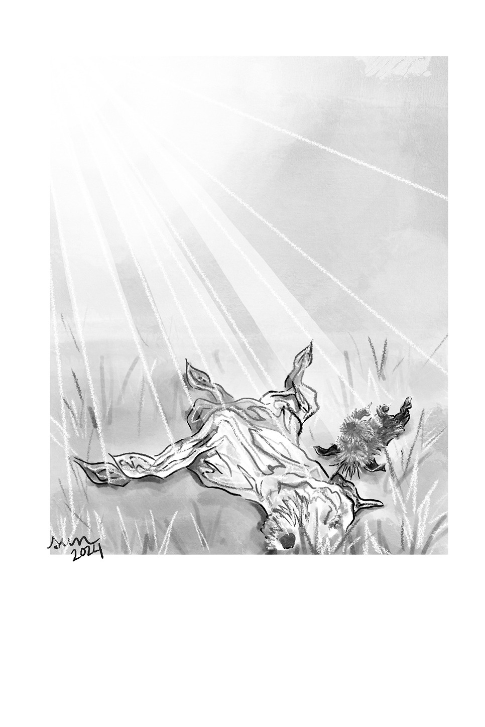 Sun