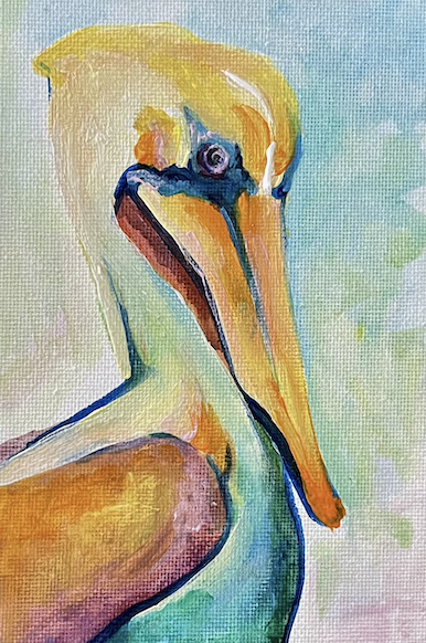 Florida Pelican