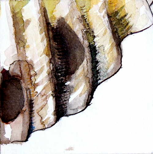 Shell 1