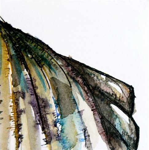Shell 2