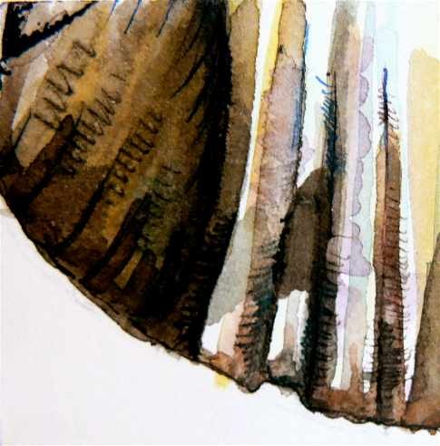 Shell 3